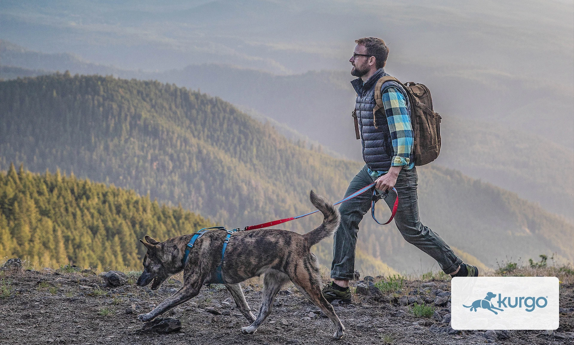 Kurgo Image